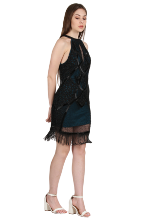 Delicate Black Embellished Short Fringed Dress